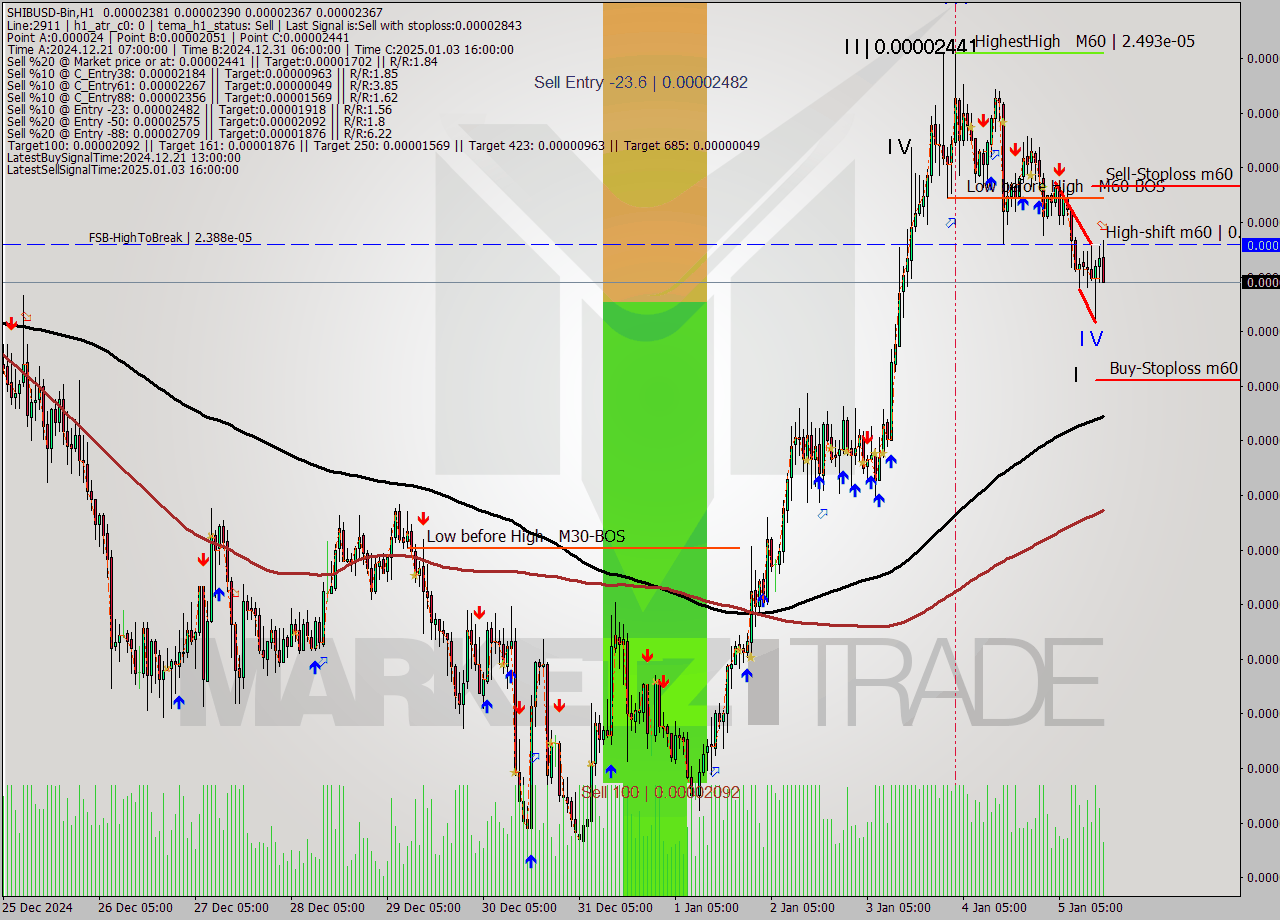 SHIBUSD-Bin MultiTimeframe analysis at date 2025.01.05 18:33