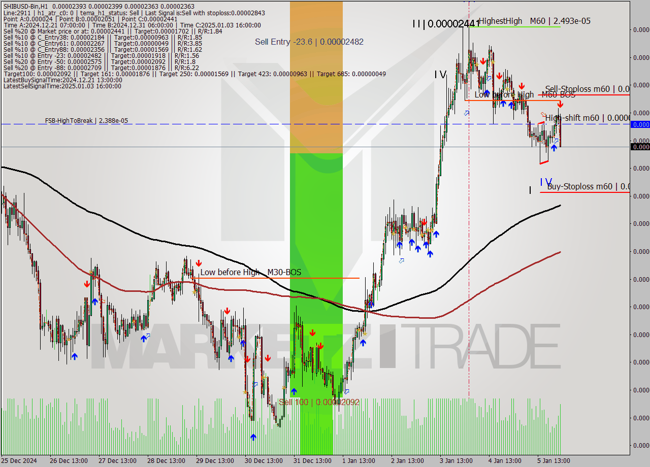 SHIBUSD-Bin MultiTimeframe analysis at date 2025.01.06 02:50