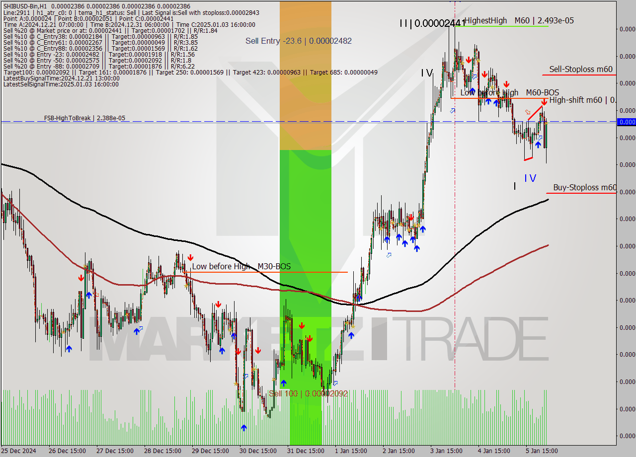 SHIBUSD-Bin MultiTimeframe analysis at date 2025.01.06 04:00