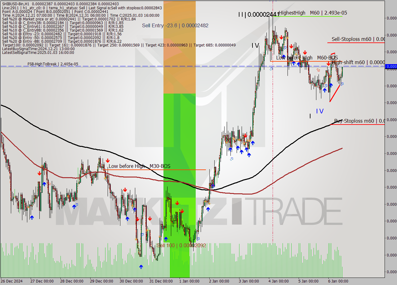 SHIBUSD-Bin MultiTimeframe analysis at date 2025.01.06 13:25