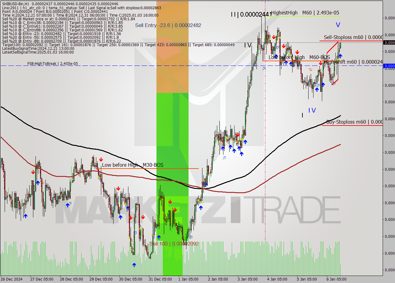 SHIBUSD-Bin MultiTimeframe analysis at date 2025.01.06 18:07