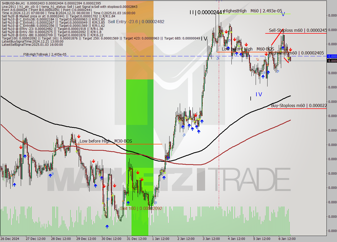 SHIBUSD-Bin MultiTimeframe analysis at date 2025.01.07 01:03