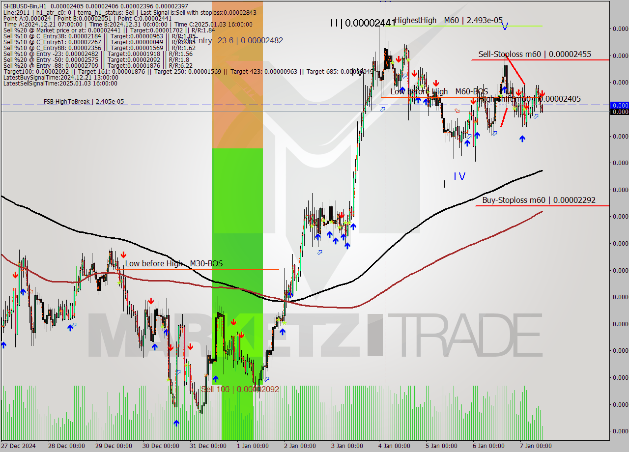 SHIBUSD-Bin MultiTimeframe analysis at date 2025.01.07 13:25