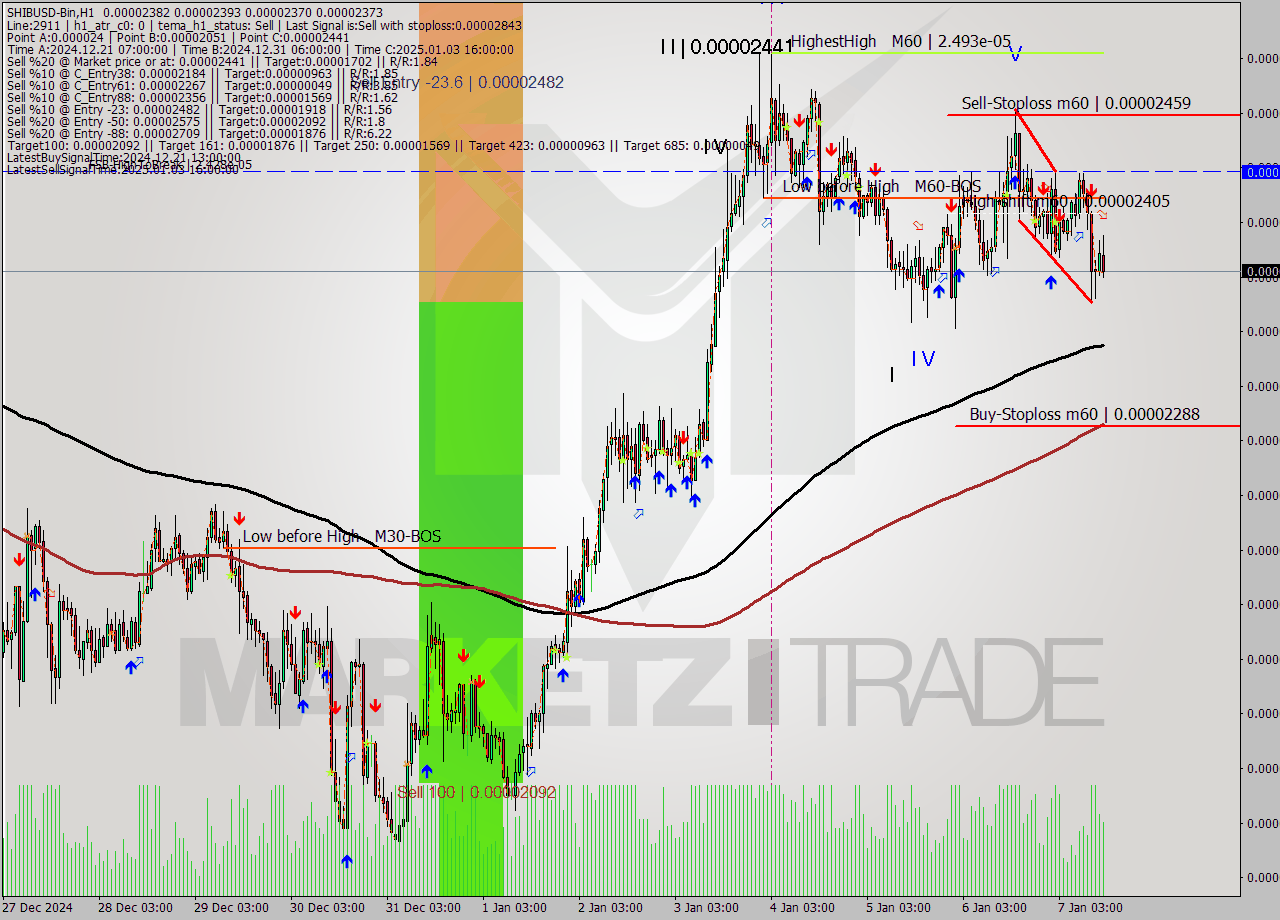 SHIBUSD-Bin MultiTimeframe analysis at date 2025.01.07 16:37