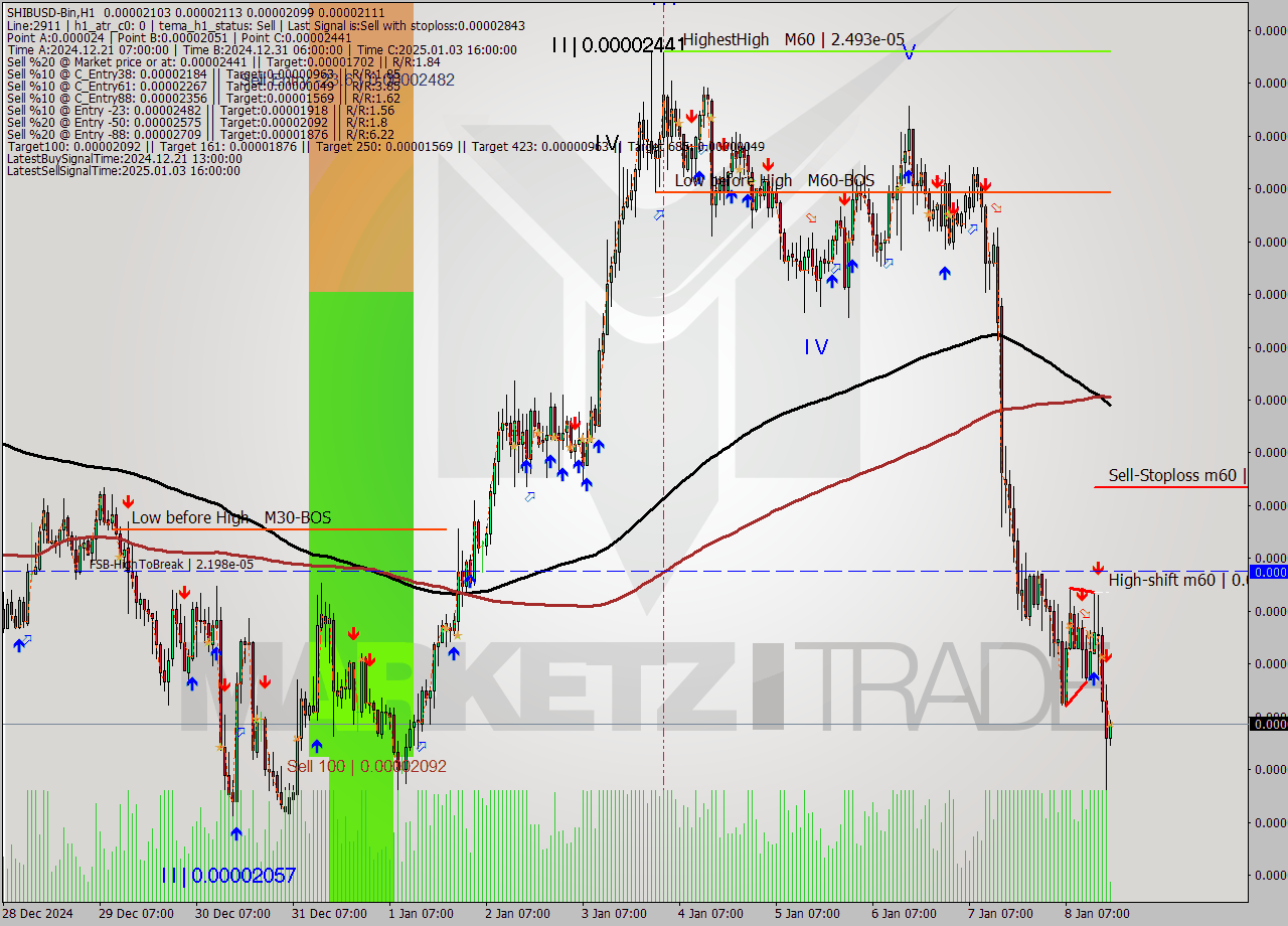 SHIBUSD-Bin MultiTimeframe analysis at date 2025.01.08 20:03