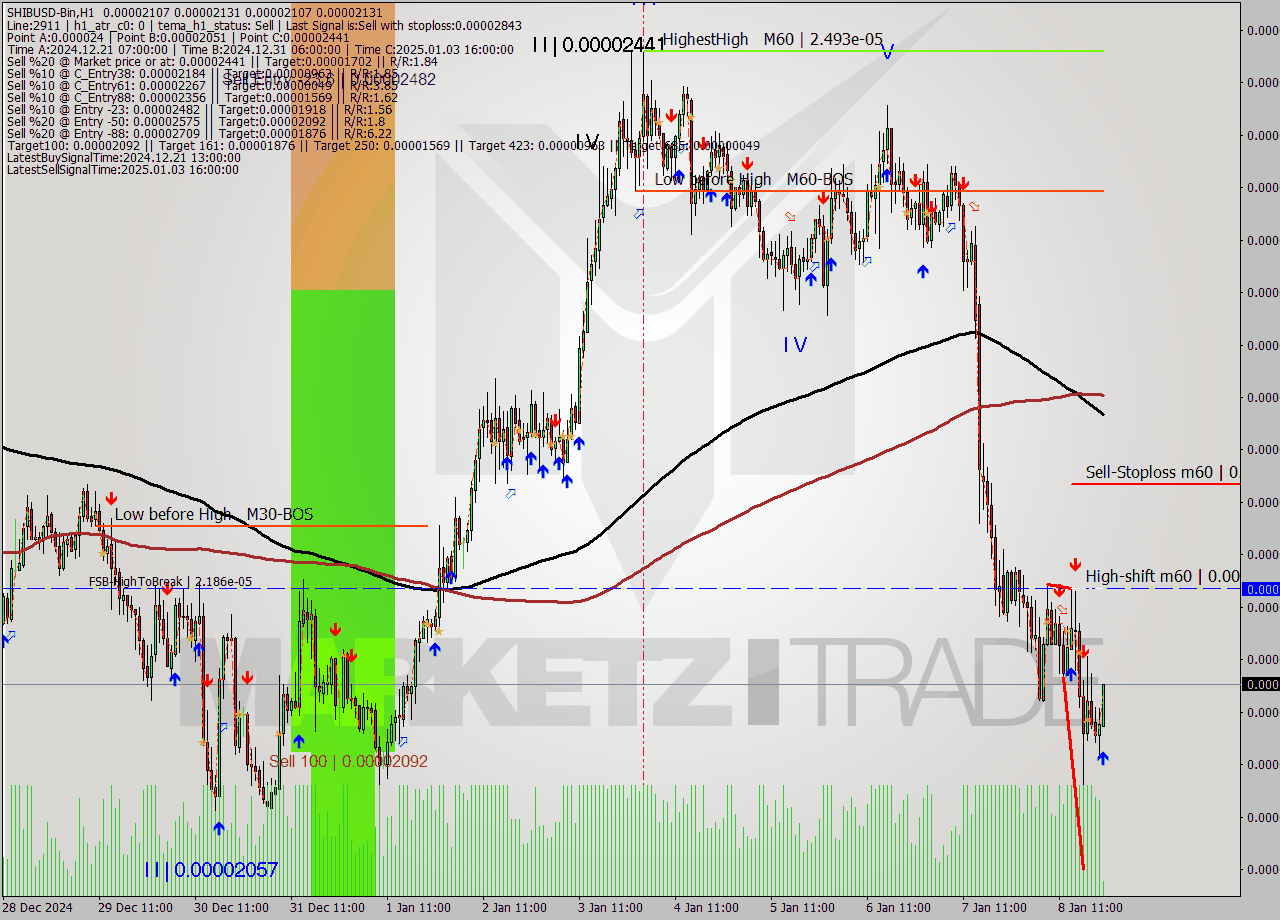SHIBUSD-Bin MultiTimeframe analysis at date 2025.01.09 00:10