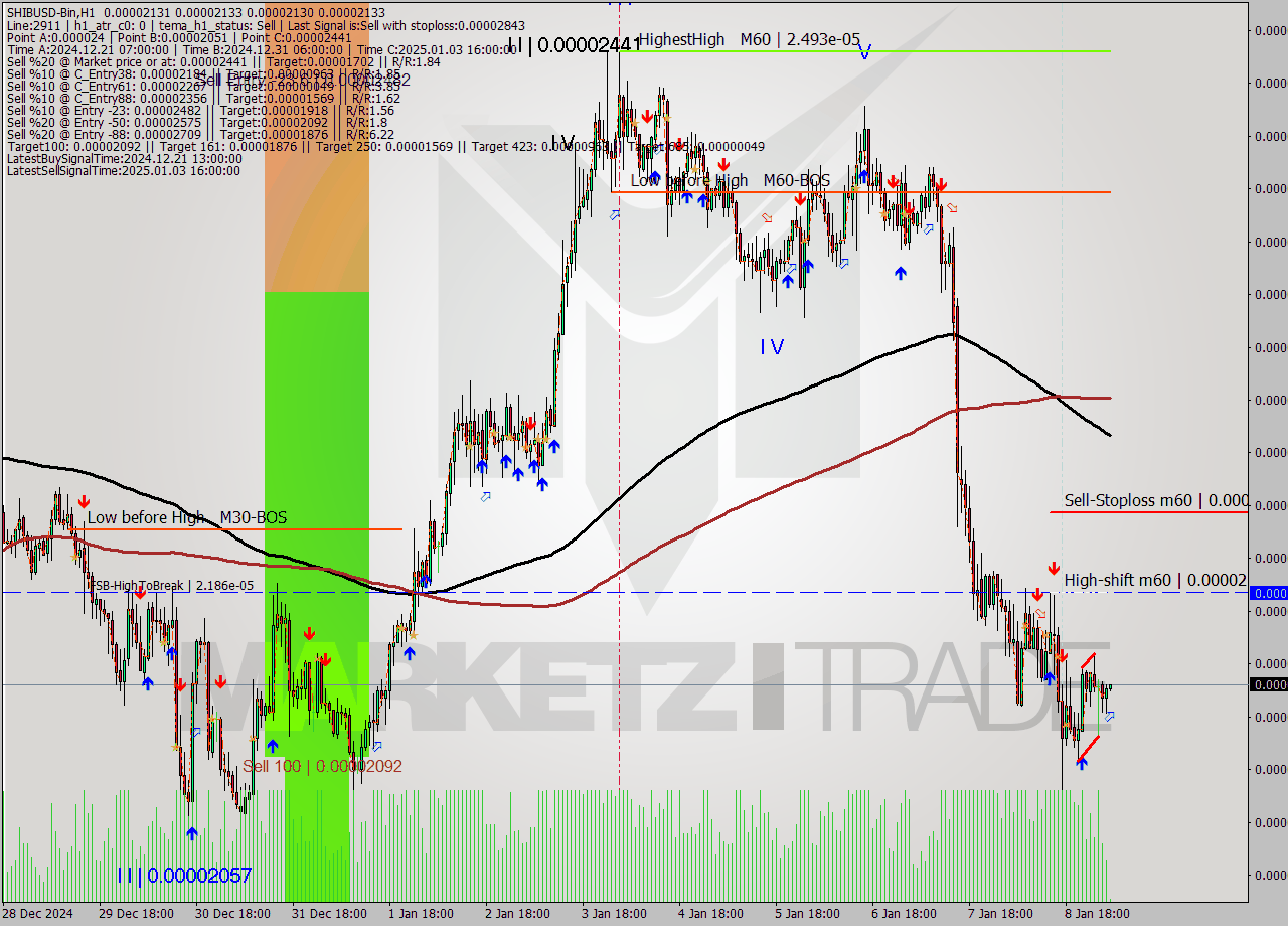 SHIBUSD-Bin MultiTimeframe analysis at date 2025.01.09 07:00