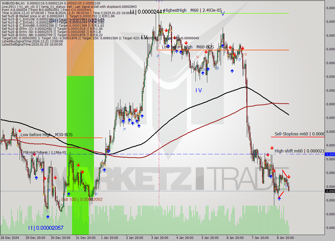 SHIBUSD-Bin MultiTimeframe analysis at date 2025.01.09 09:24