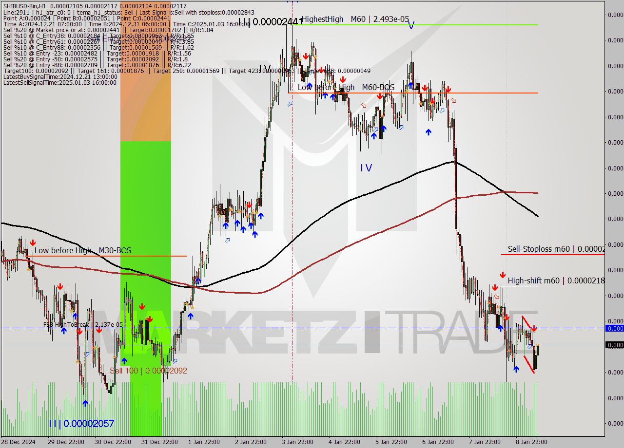 SHIBUSD-Bin MultiTimeframe analysis at date 2025.01.09 11:07