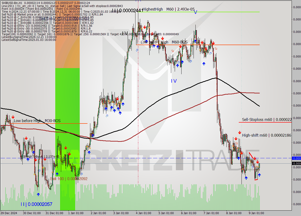 SHIBUSD-Bin MultiTimeframe analysis at date 2025.01.09 14:27