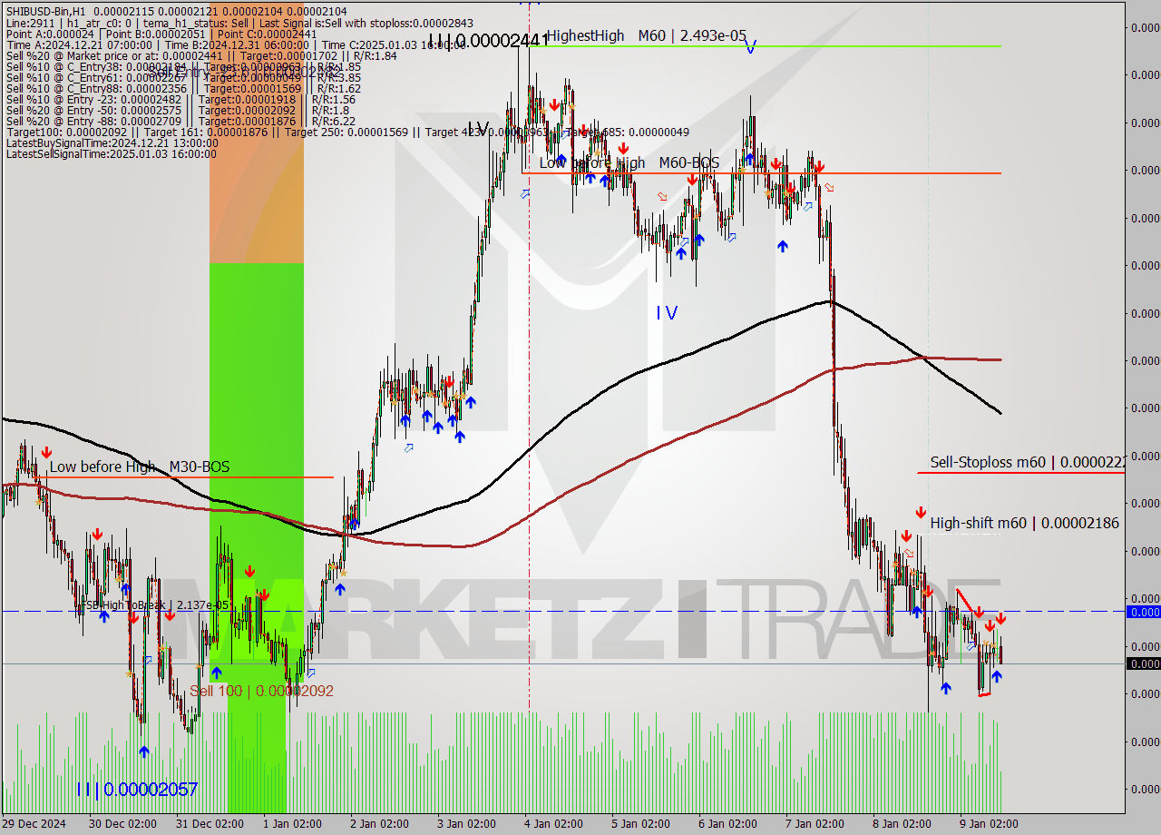 SHIBUSD-Bin MultiTimeframe analysis at date 2025.01.09 15:33