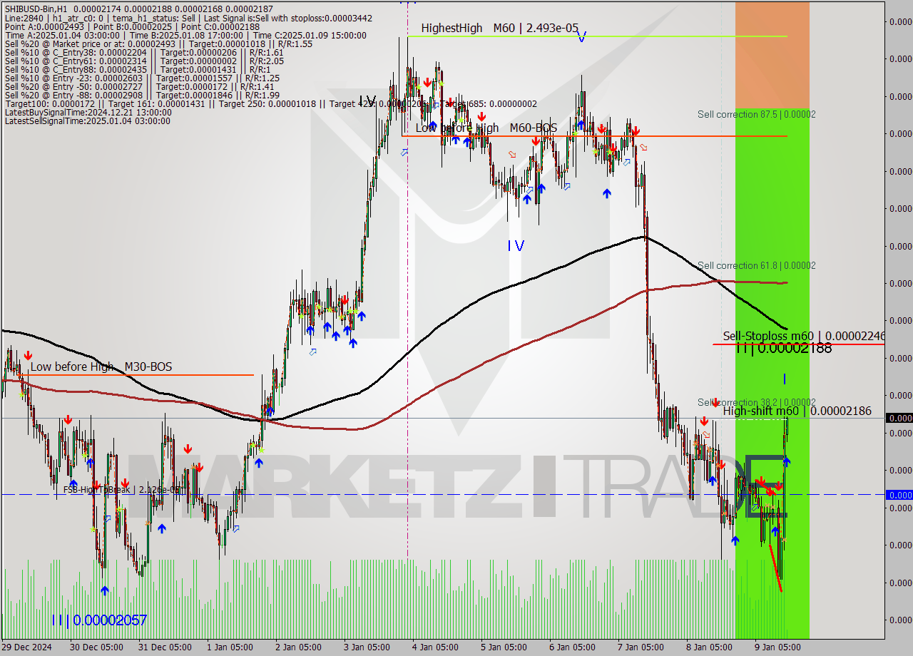 SHIBUSD-Bin MultiTimeframe analysis at date 2025.01.09 18:02