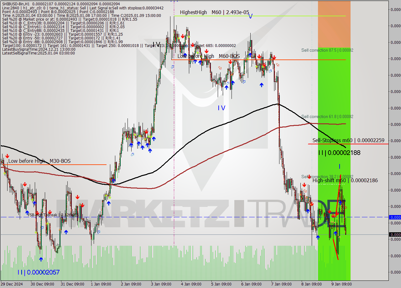 SHIBUSD-Bin MultiTimeframe analysis at date 2025.01.09 22:14
