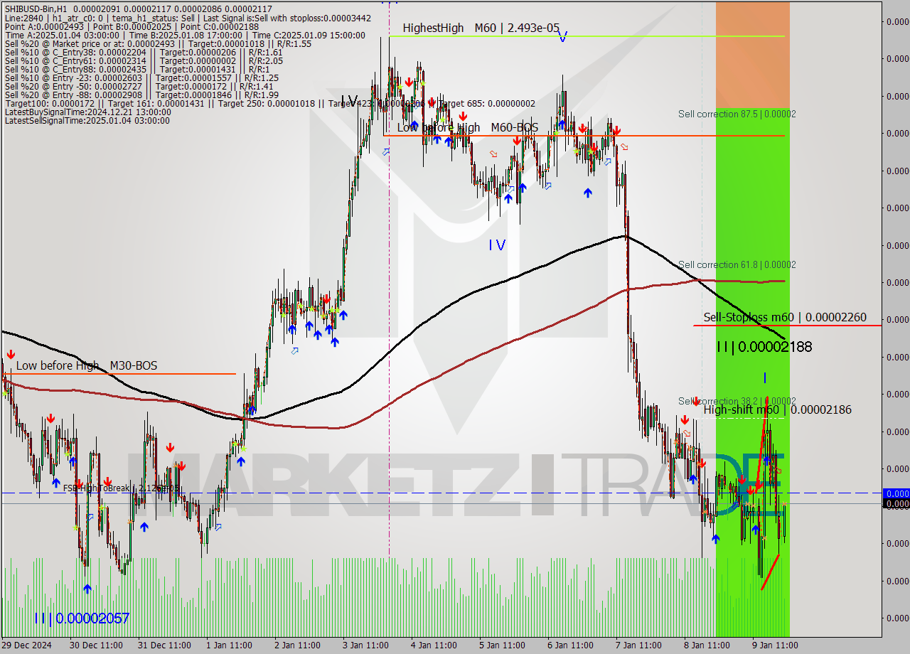 SHIBUSD-Bin MultiTimeframe analysis at date 2025.01.10 00:31