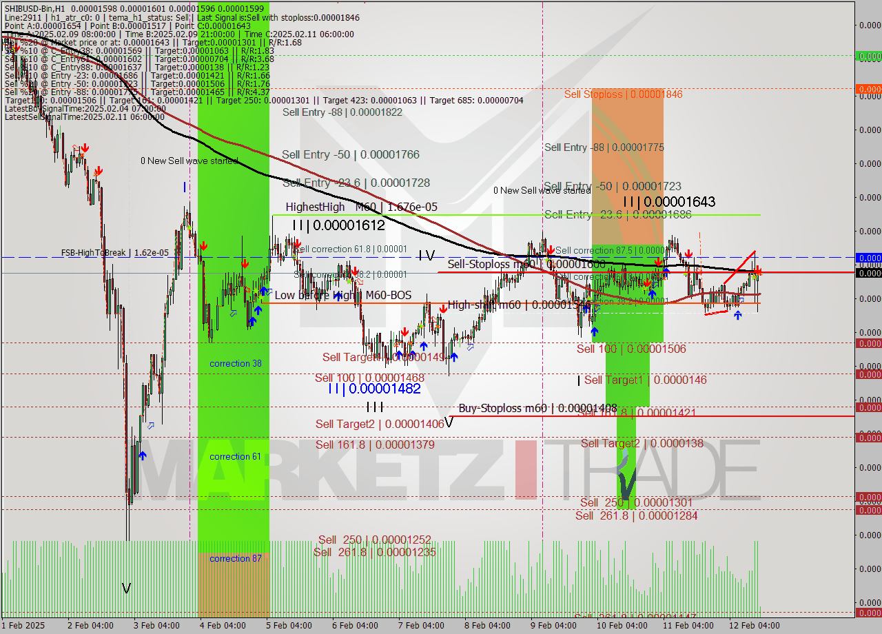 SHIBUSD-Bin MultiTimeframe analysis at date 2025.02.12 17:01