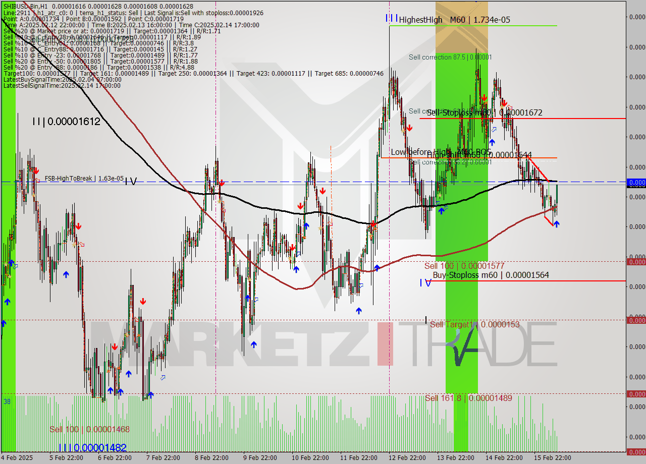 SHIBUSD-Bin MultiTimeframe analysis at date 2025.02.16 11:54