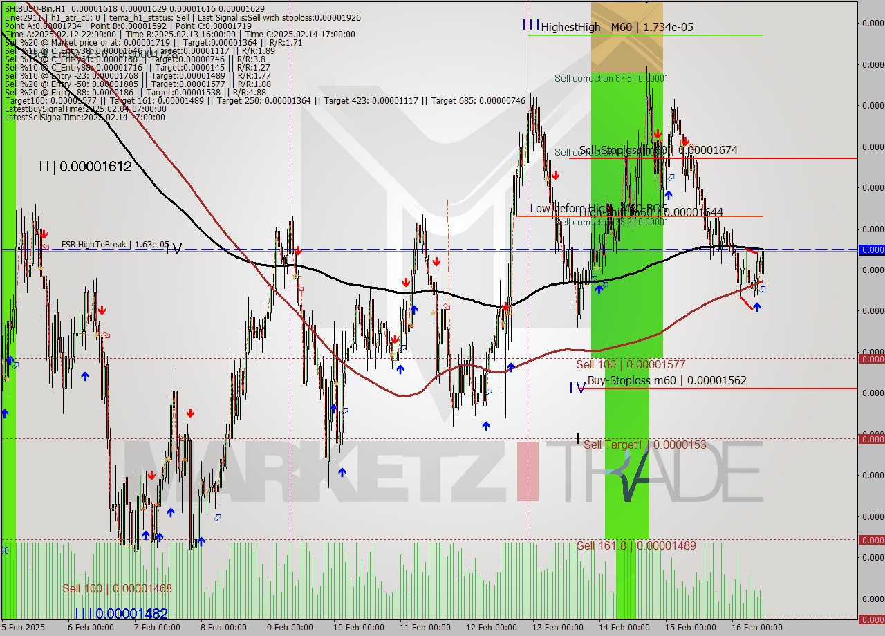 SHIBUSD-Bin MultiTimeframe analysis at date 2025.02.16 13:48