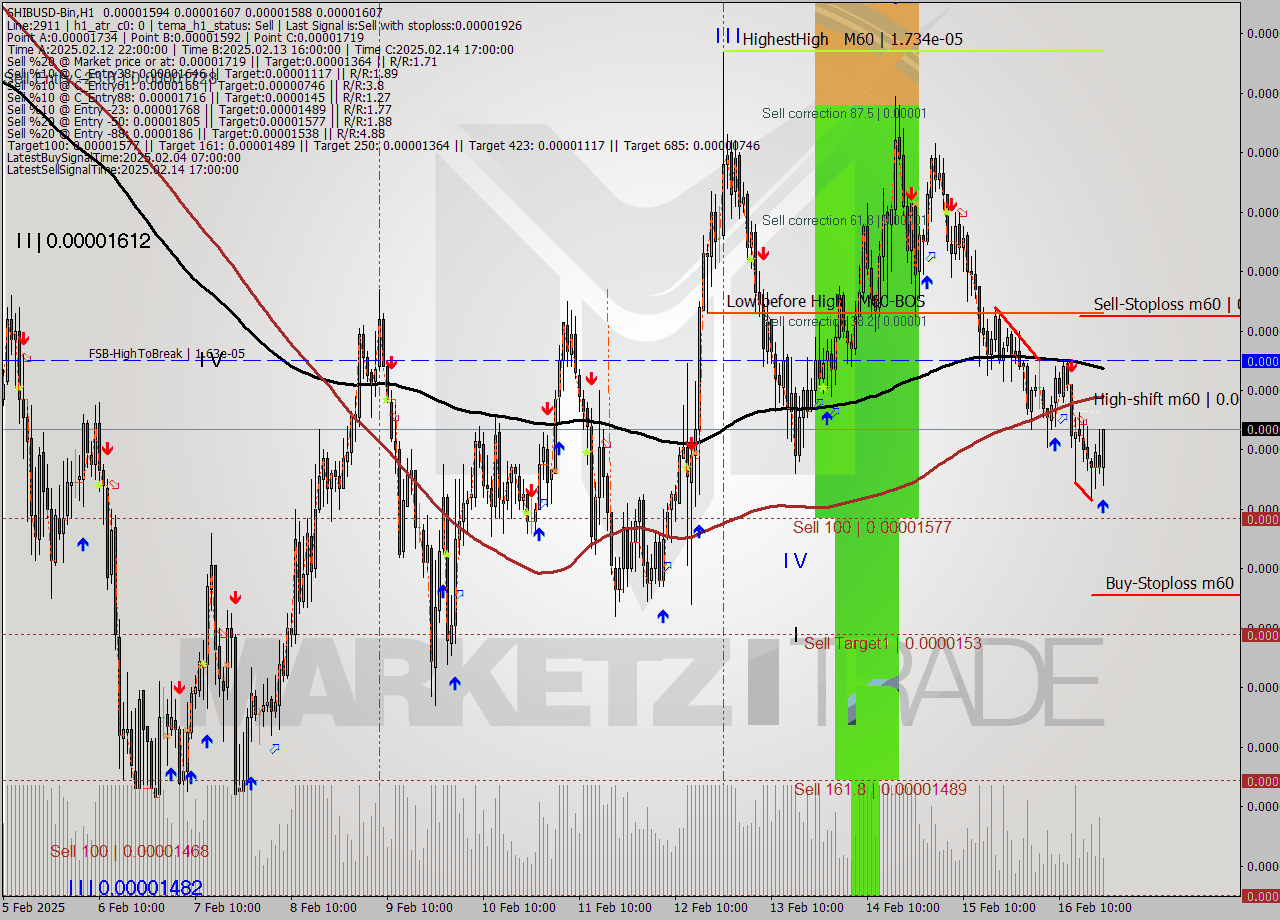 SHIBUSD-Bin MultiTimeframe analysis at date 2025.02.16 23:53