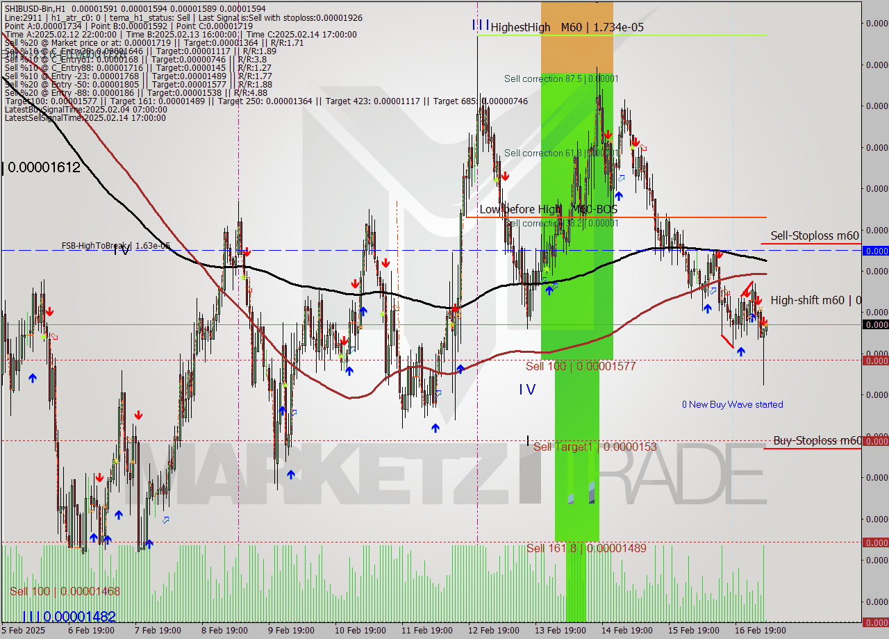 SHIBUSD-Bin MultiTimeframe analysis at date 2025.02.17 08:04