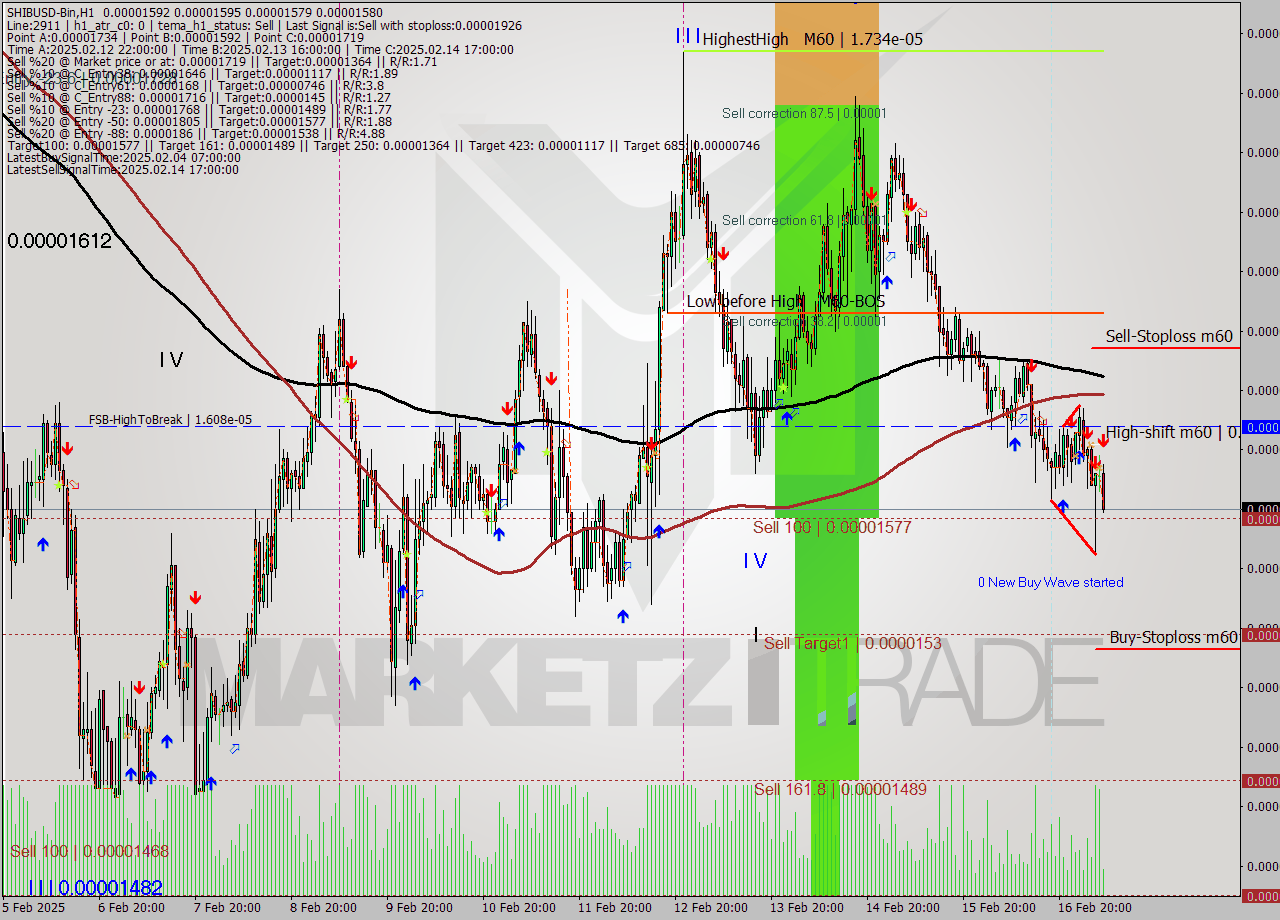 SHIBUSD-Bin MultiTimeframe analysis at date 2025.02.17 09:31