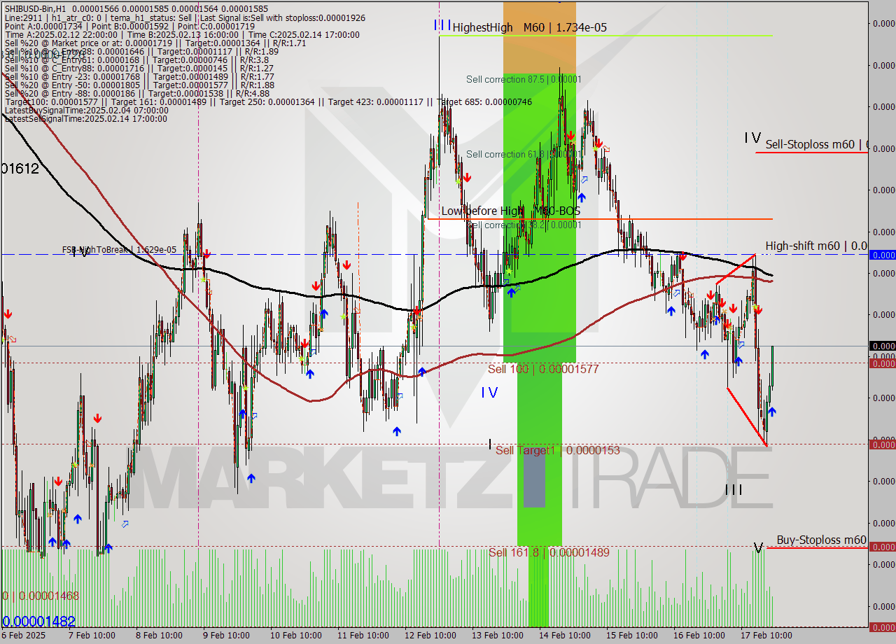 SHIBUSD-Bin MultiTimeframe analysis at date 2025.02.17 23:54