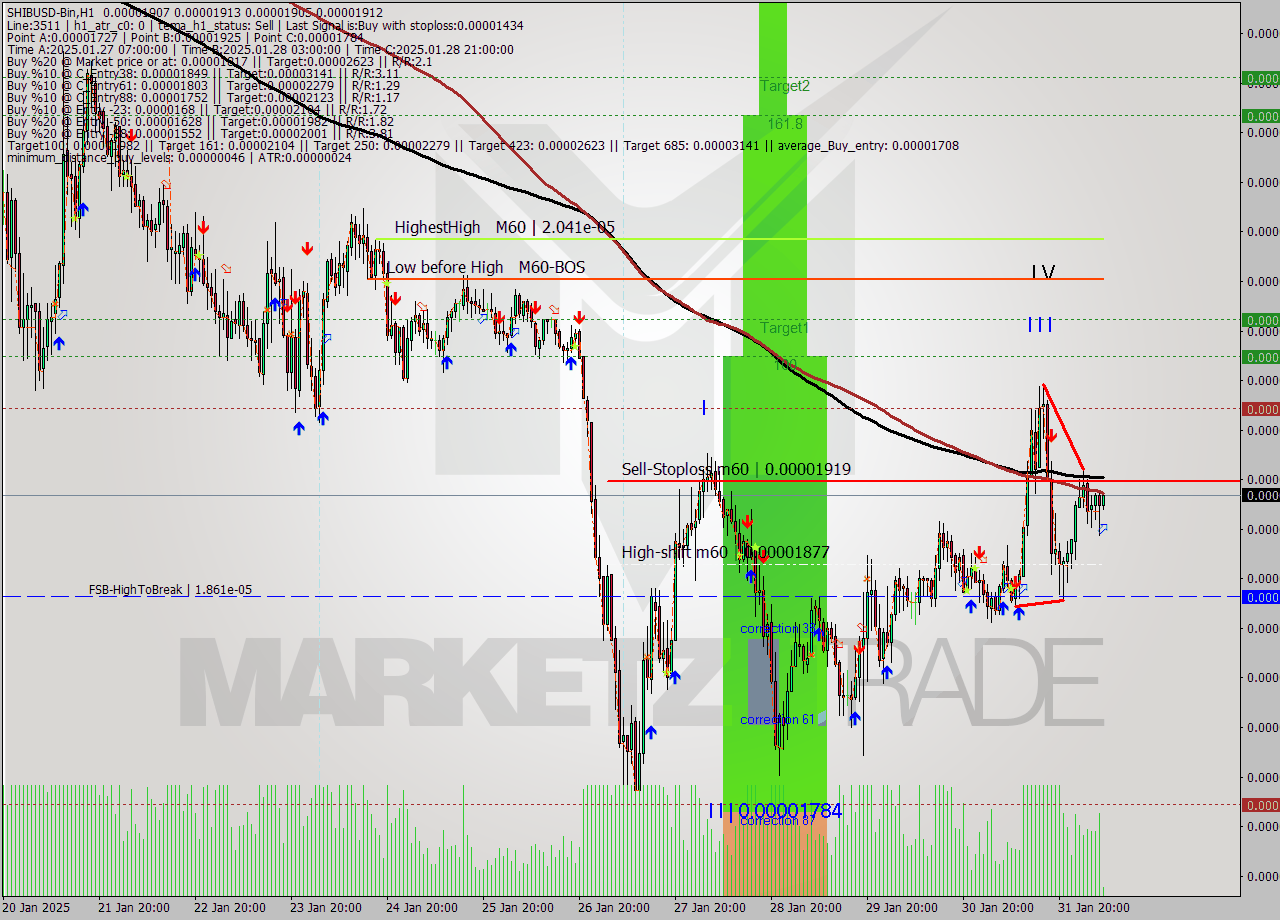 SHIBUSD-Bin MultiTimeframe analysis at date 2025.02.01 09:11