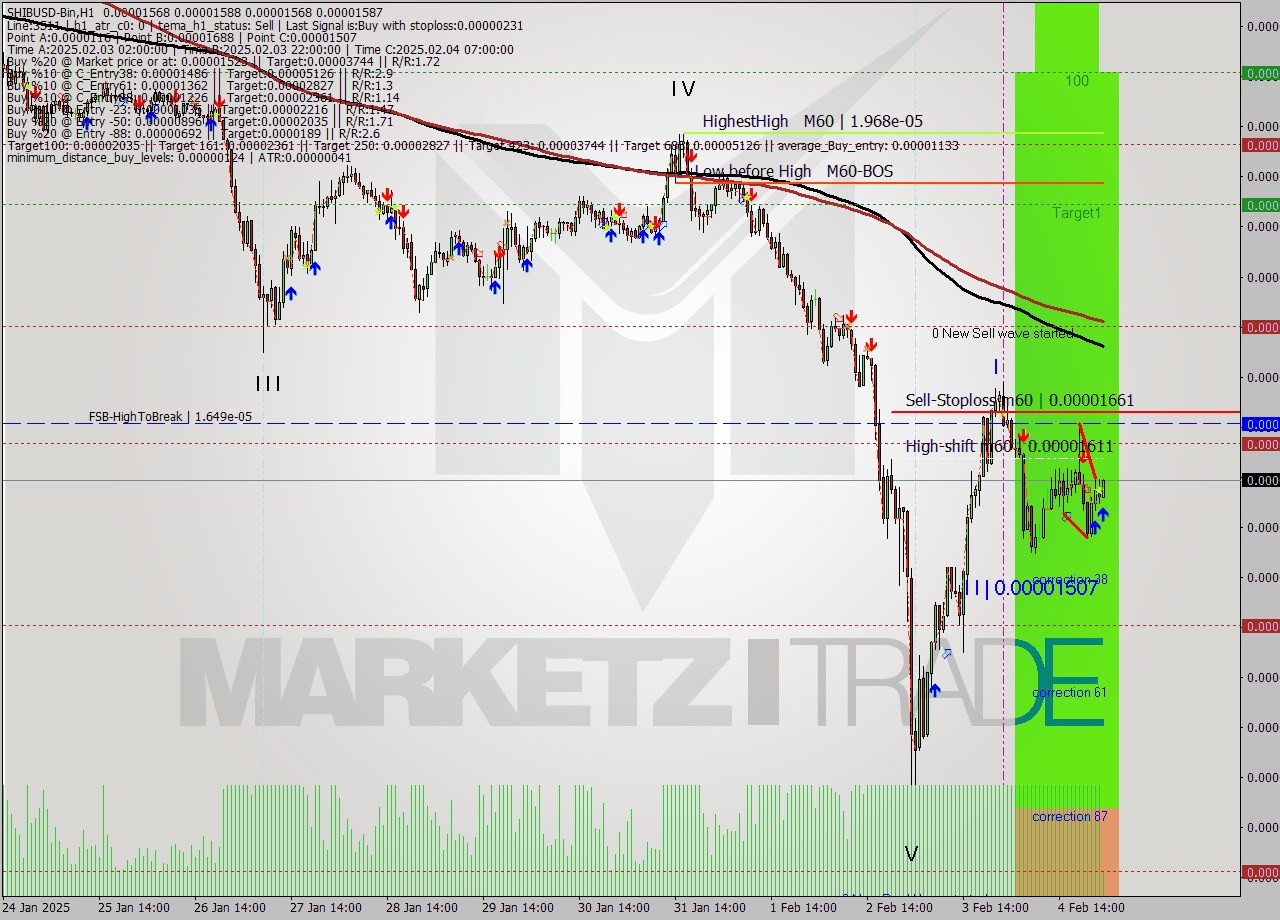SHIBUSD-Bin MultiTimeframe analysis at date 2025.02.05 03:04