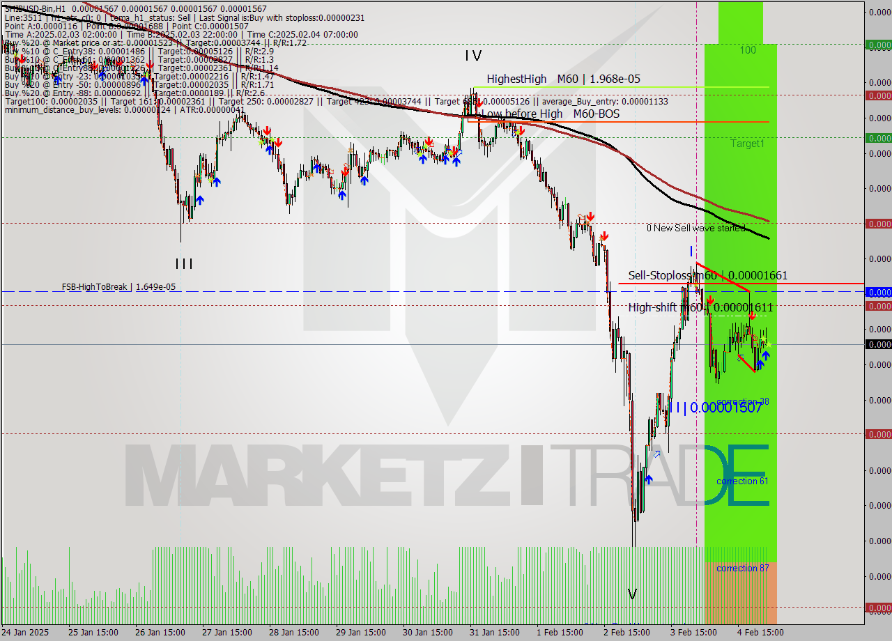SHIBUSD-Bin MultiTimeframe analysis at date 2025.02.05 04:00