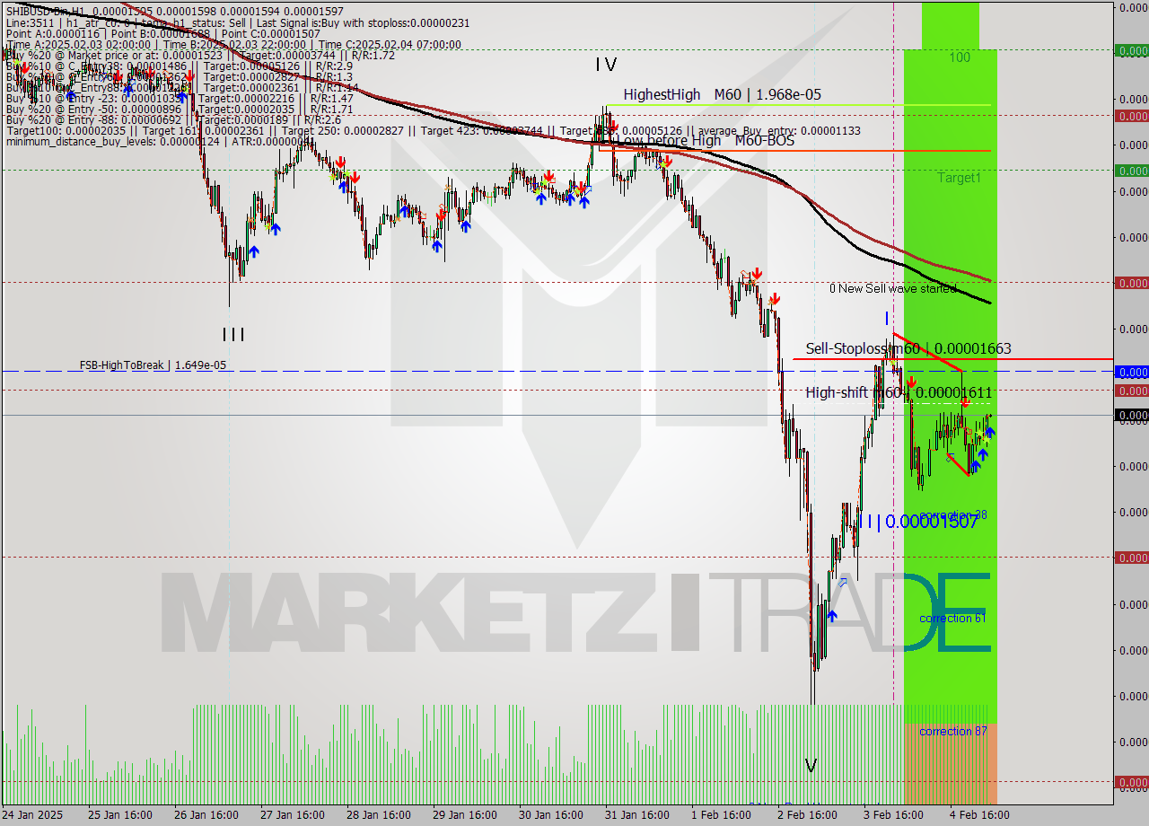 SHIBUSD-Bin MultiTimeframe analysis at date 2025.02.05 05:01
