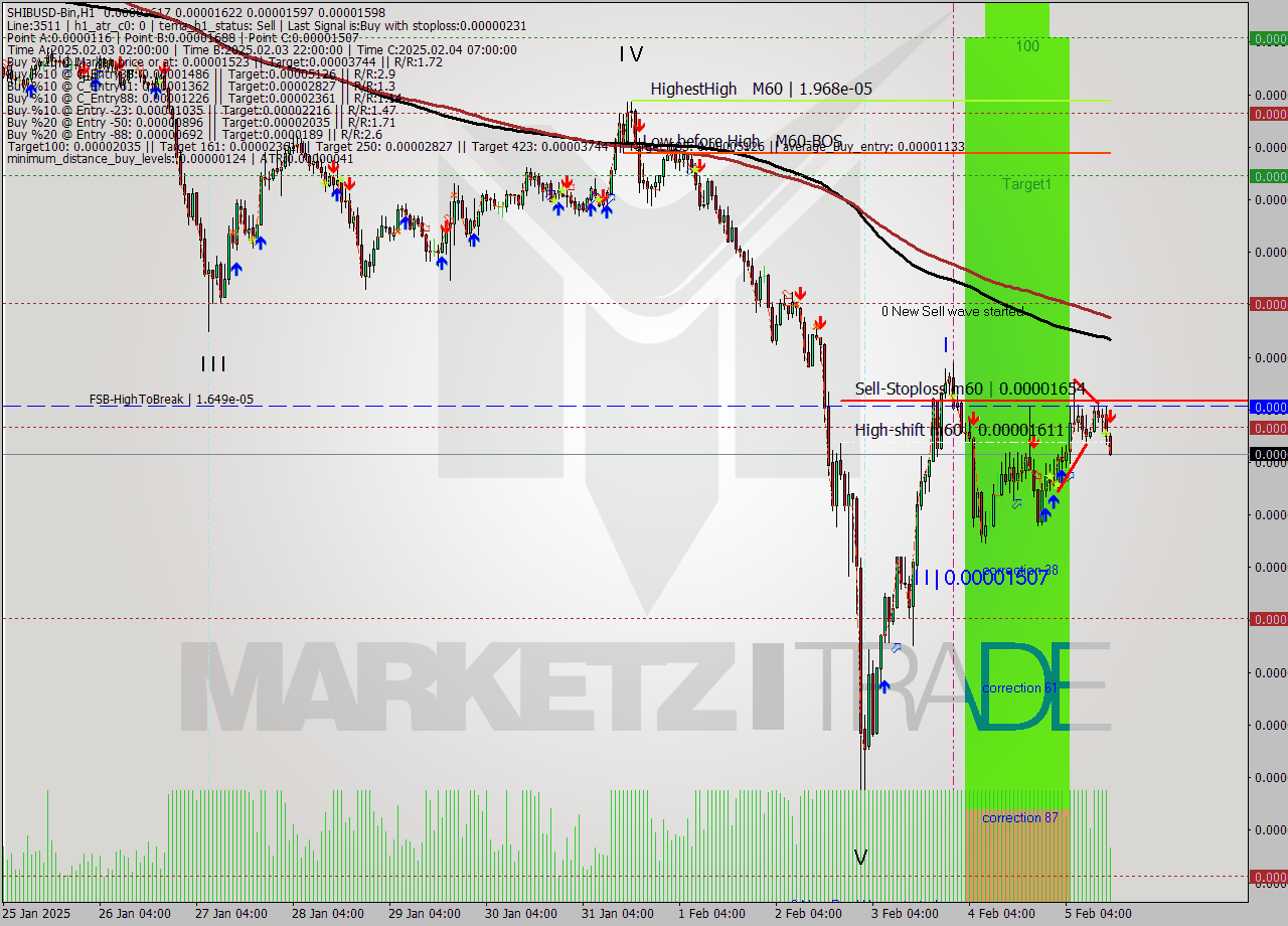 SHIBUSD-Bin MultiTimeframe analysis at date 2025.02.05 17:07