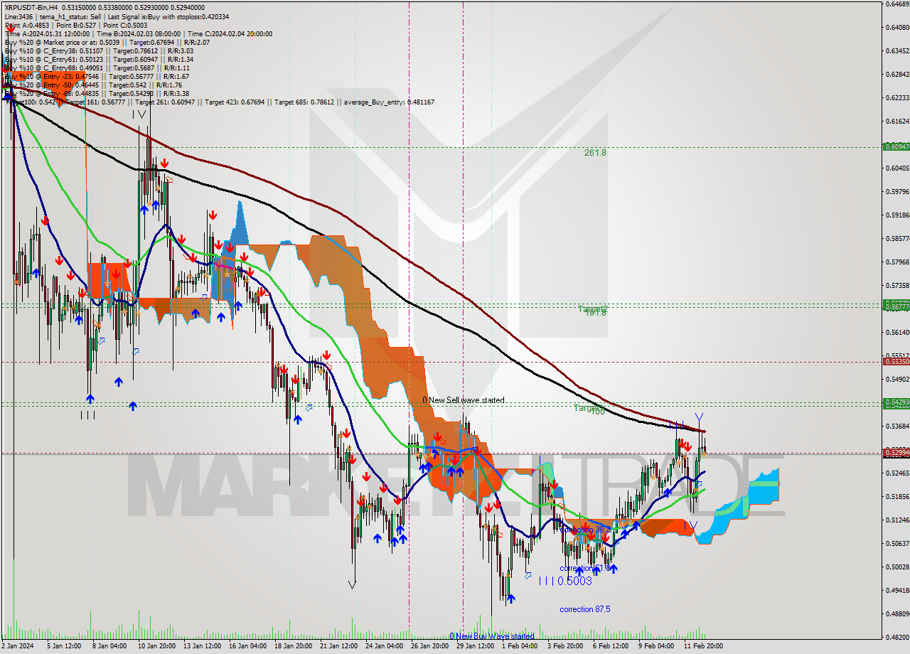 XRPUSDT-Bin MultiTimeframe analysis at date 2024.02.13 05:34